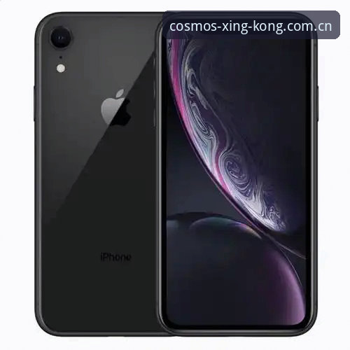 星空XINGKONG体验手机版 星空体育官网vs传统体育平台:手机端体验的全面对比与选择